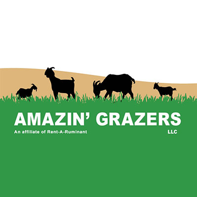 Amazin' Grazers logo